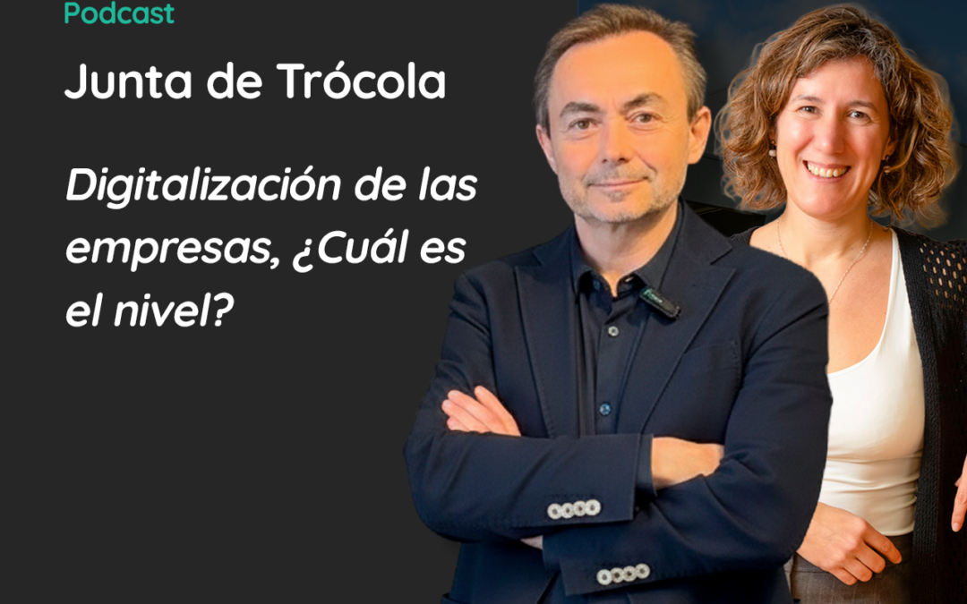 Digitalización de las empresas, ¿Cuál es el nivel?