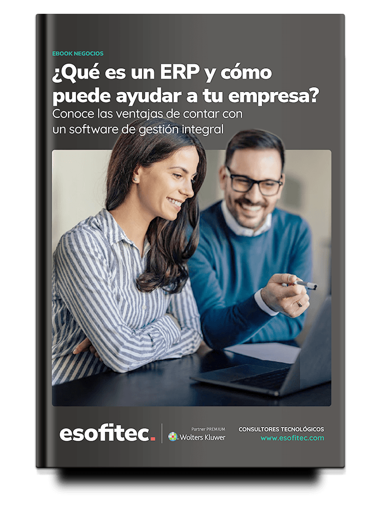 libro-ERP-book